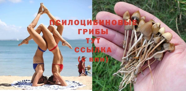 трава Михайловка