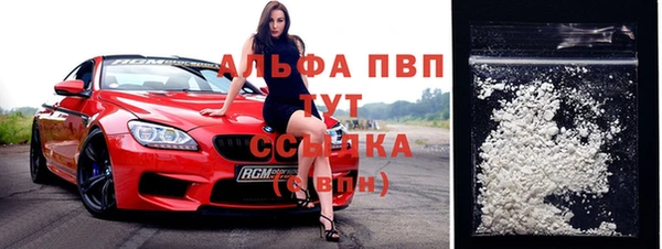 спиды Тихвин