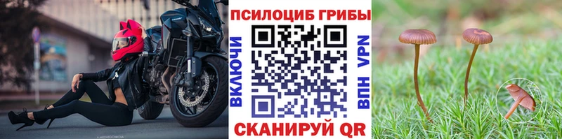 цены   мега ТОР  Псилоцибиновые грибы мухоморы  Торопец 