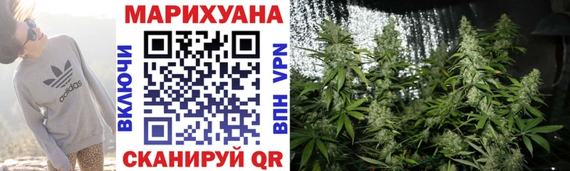 omg tor  Торопец  Конопля индика 